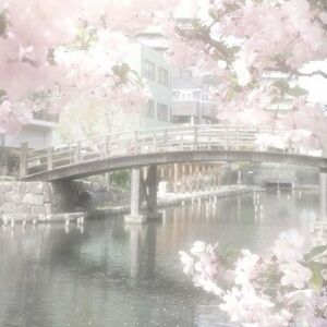 personal style イ・ワ・マ ⋆.ೃ࿔⋆🍮